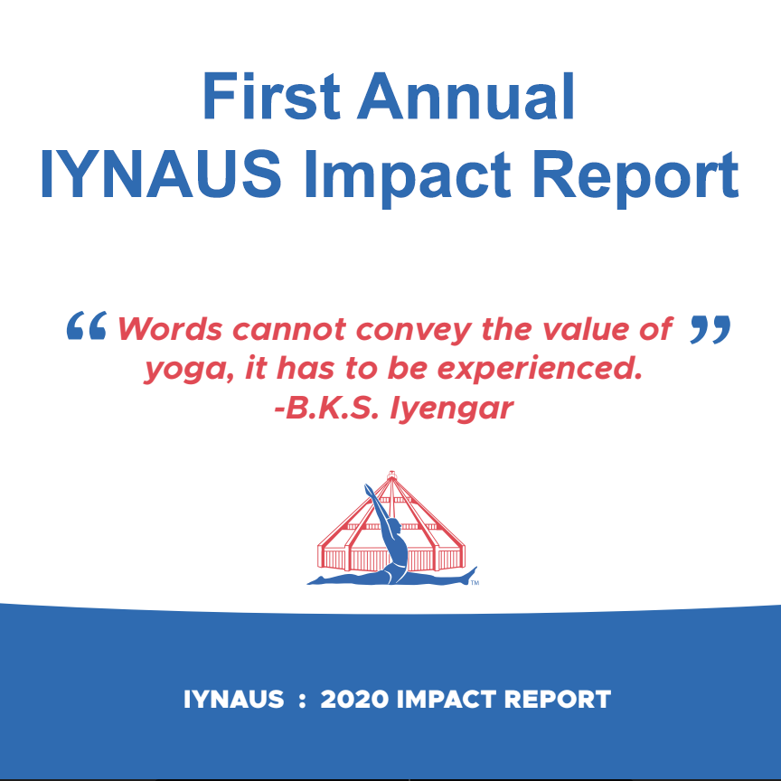 Iynaus年度报告2020