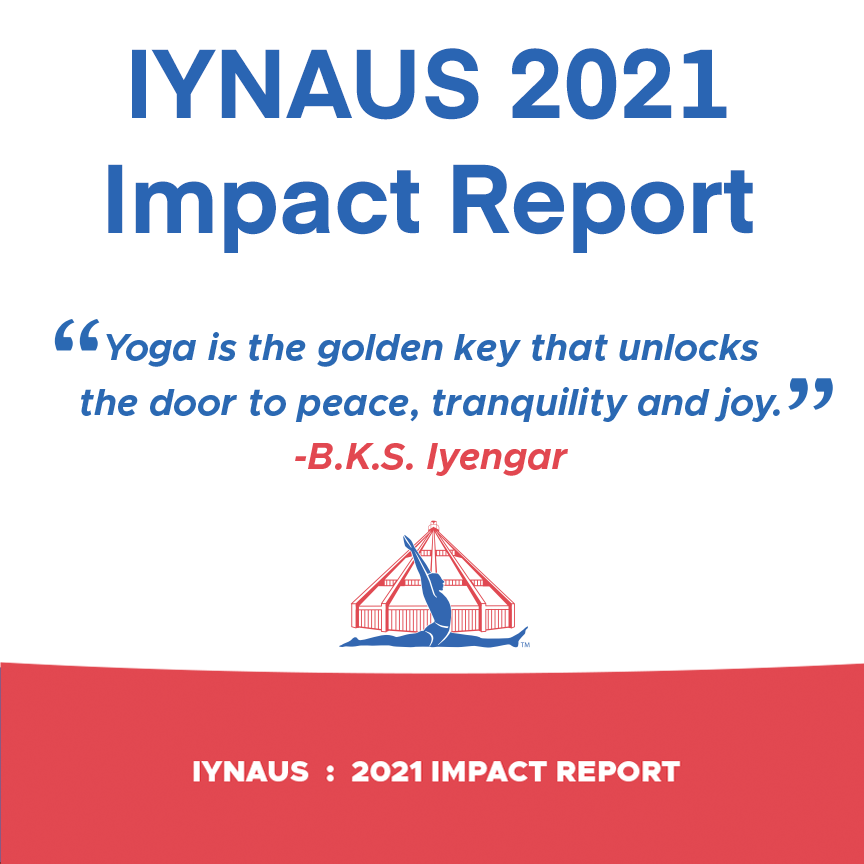 Iynaus 2021影响报告